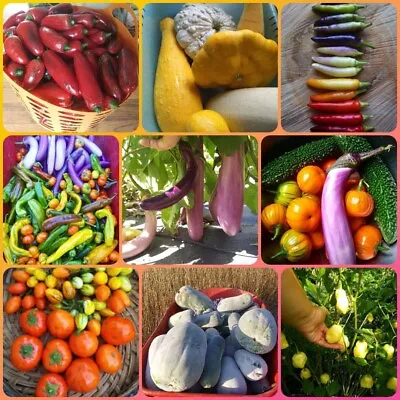 VEGETABLE SEEDS LOT ( 65 Varieties ) • $39