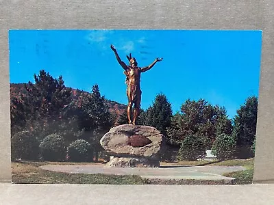 Indian Statue Hail To The Sunrise  Mohawk Trail Charlemont Chrome Postcard 606 • $3