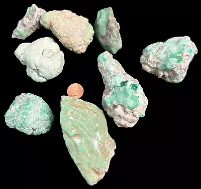 Variscite  Lucin Utah Rough Natural Edison Bird Mine 760 Grams • $38.78