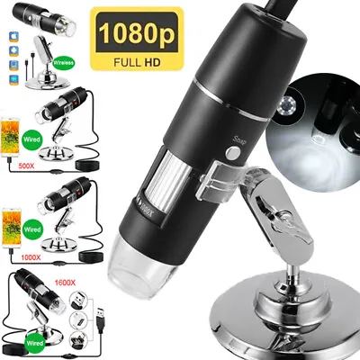 1600X 1000X HD 8LED 1080P Microscope Digital Magnifier Endoscope Video Camera • $24.99