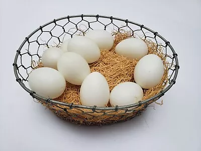 Metal Chicken Wire Egg Basket Oval Hollow White Eggs Straw Crate Decor Farmhouse • $14.99