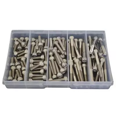 G304 Stainless M6 (6mm) Socket Cap Screw Assortment Kit Allen Bolt #165 • $43