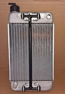 NEW IAME Leopard Kart Radiator 345mm X 195mm {#2} • $130