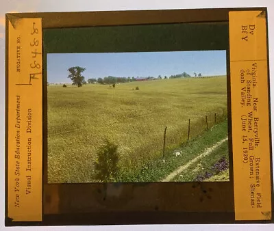 Vintage Magic Glass Lantern Slide Virginia Wheat Field Berryville 1920 • $4.99