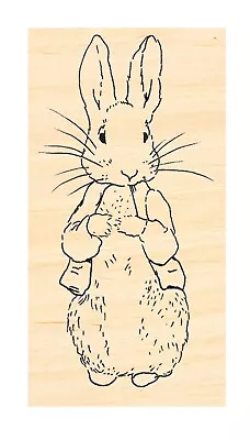 P128 Peter Rabbit Rubber Stamp • $11