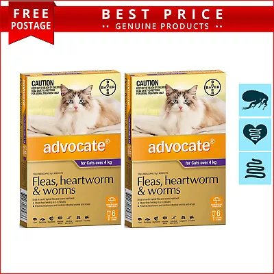 ADVOCATE 12 Doses For Cats All Sizes Monthly Heartworm Flea Worm Prevention • $165.93