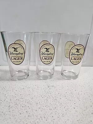 3 Yuengling Traditional Lager Beer 16oz Pint Glasses  America's Oldest Brewery • $10