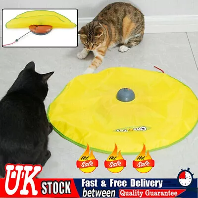 Pet Cat Toy Undercover Electronic Toy Moe Cat Kitten Xmas Toys Interactive IN • £13.55