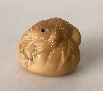 £45 • Buy Old Signed Betel Nut Netsuke “frog” Glass Eyes
