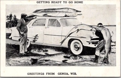 $6 • Buy GENOA, Wisconsin Postcard Fish Exaggeration / Big Fish Strapped To Car - 1957