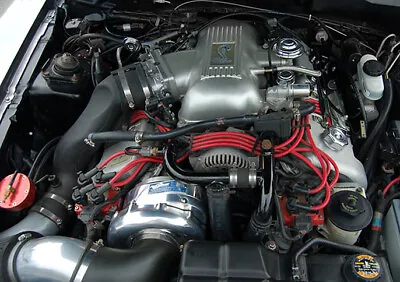 $6349 • Buy Mustang Cobra Procharger 4.6L 4V P-1SC Supercharger HO No Tune Kit 96-98