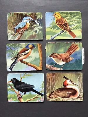 Vintage Mamelok Die Cut Scraps X6 A Birds On Branches And On The Ground No. 895 • £9