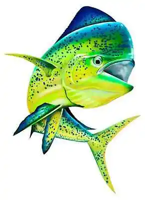 Reflective Mahi Mahi Decal 20cm X 15cm Esky Boat Car Fish Sticker Fishing Gift • $12.50