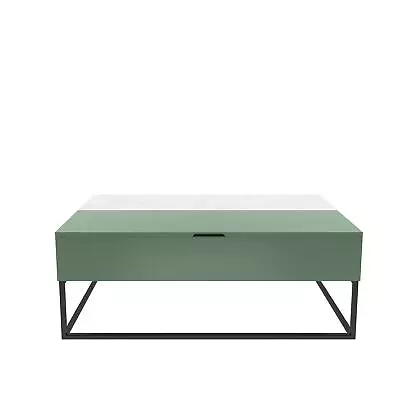 Cortney's Collection Perry Lift-Top Coffee Table Sage Green • $314.99