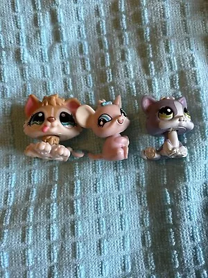 Littlest Pet Shop Bundle RARE Husky Kitten And MouseUsed All Great Condition • £12.99