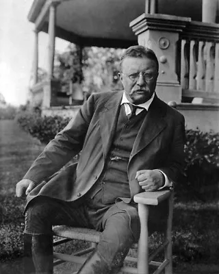 $5.99 • Buy U.S. President THEODORE 'TEDDY' ROOSEVELT In Chair 8x10 Photo Print Poster