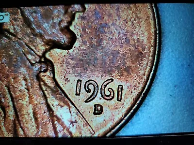 1961 D Lincoln Penny  • $1.35