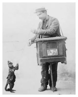 1892 Americana Organette Organ Grinder With Monkey Silver Halide Photo • $35.74