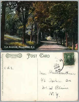 Millerton N.y. Elm Avenue 1908 Antique Postcard • $13.99