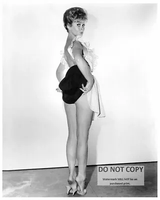 Actress Sue Ann Langdon Pin Up - 8x10 Publicity Photo (sp168) • $8.87