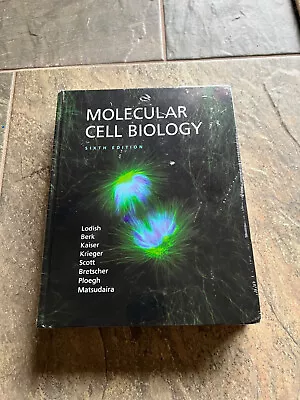 Molecular Cell Biology By Arnold Berk Matthew P. Scott Harvey Lodish Chris A. • $30