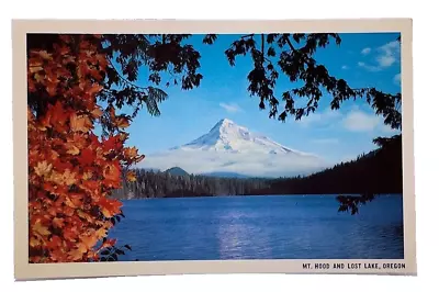 Vintage Postcard OR Mt. Hood Lost Lake Oregon • $3.50