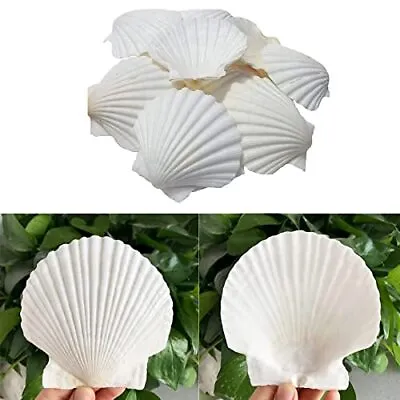 JQAQJU Scallop Shells For Crafts 16Pcs 3-3.5 Inch White Sea Shells Bulk For Dec • $18.06