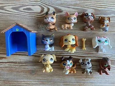 LITTLEST PET SHOP FIGURES DOGS BUNDLE RARE LPS - Yellow & White Cocker Spaniel • £59.99