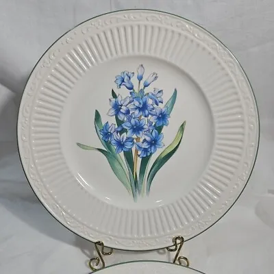 3 Mikasa Italian Countryside HYACINTH Stoneware 8.5  Salad Plate Discontinued • $28