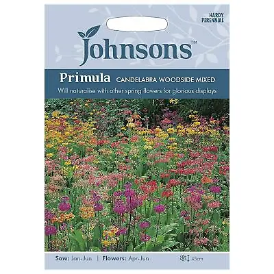 £5.59 • Buy Johnsons Bright Pretty Garden Flowers Primula Candelabra Woodside Mixed Seeds