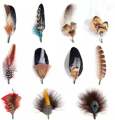 MIX BROWN Hat Feathers Assorted Natural Feather Packs Accessories For Fedora • $18.37