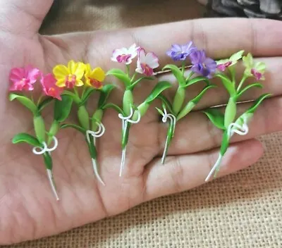  4 Miniature Dollhouse Colorful Color Cattleya Orchids Flowers Fairy Home Decor • $12.99