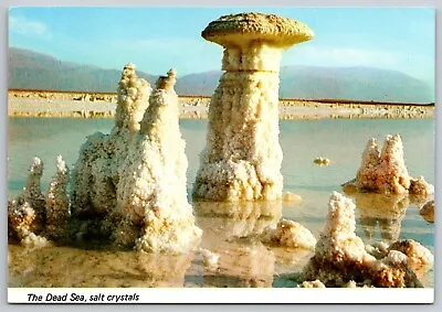 Dead Sea Salt Crystals - Bible Lands - Salt Formations (6 X 4 In) Postcard 9496 • $5.41