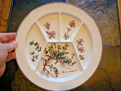 Villeroy & Boch  Botanica DIVIDED PLATE GRILL PLATE 9 & 3/4  Thymus Pulegioides • $9.95