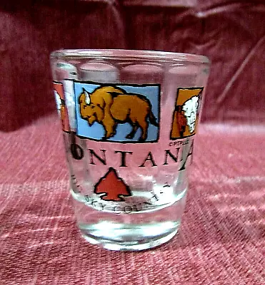 Vintage 1990's Montana USA Big Sky Country Shot Glass Bison Buffalo Arrowhead • $15