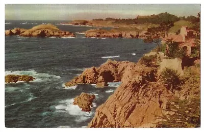 California Coast C1950's Point Lobos State Park Pacific Ocean Union Oil Co. • $1.45