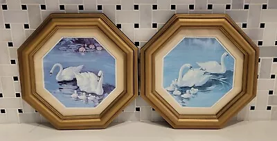 Vintage Framed Pictures Of SWANS With Babies Cygnets On Lake Unique Round Frames • $22