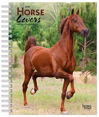 $17.95 • Buy Horse Lovers - 2023 Engagement Calendar - Brand New - 47960
