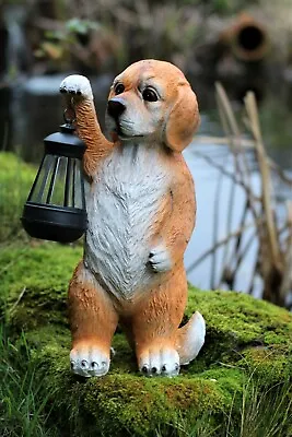 Garden Ornament Solar Powered Animal Puppy Dog Lamp Decor Patio  • £16.95