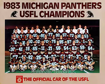 USFL 1983 Champion Michigan Panthers Team Picture Color 8 X 10 Photo Pic • $5.99