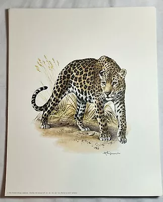 Leopard Vintage Art Print - 1972 Kronen-Verlao 8 X 11 Printed In German • $9.95