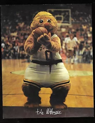 Vintage 8X10  Color Seattle SuperSonics Promo Photo Mascot THE WHEEDLE • $12