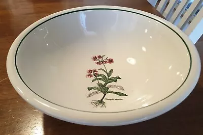 $35 • Buy Vtg Leopoldo Piezi Stoviglierie H/painted Pasta Bowl Chimapila Umbellata Italy. 