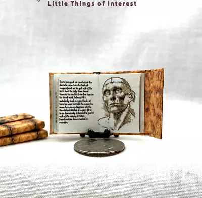 DR VICTOR FRANKENSTEIN'S JOURNAL In Miniature 1:12 Scale Illustrated Book • $8.10