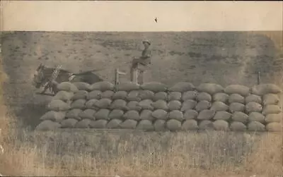 Occupational RPPC Farmer With Horse-Drawn EquipmentBags Of Grain Farming • $19.99