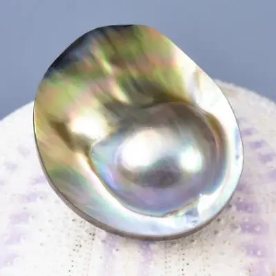 Mabe Blister Pearl In Shell Extreme Colorful Rainbow Iridescent 7.00 G Cabochon • $29
