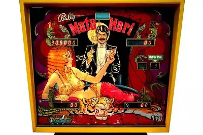 Mata Hari Pinball Machine Backglass - New • $620