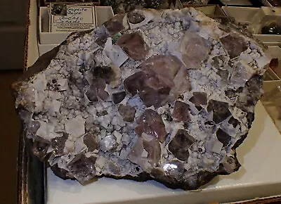 £364.89 • Buy FLUORITE ALSTONITE CALCITE Fine Mineral Specimen Blacdeng Mi. Hexham Cumbria UK