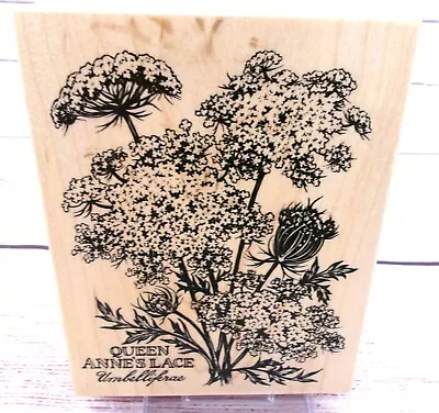 PSX Rubber Stamp Botanical Queen Anne's Lace K-2048 Wood Mounted Vtg 1996 NEW • $23