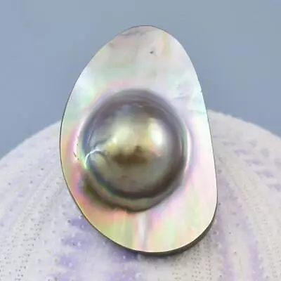 Mabe Blister Pearl In Shell Extreme Colorful Rainbow Iridescent 6.11 G Cabochon • $29
